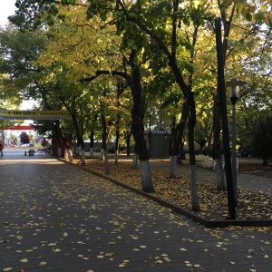 Фото от владельца Городской культурно-досуговый центр им. М. Горького