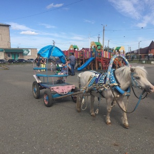 Фото от владельца Кентавр, конный клуб