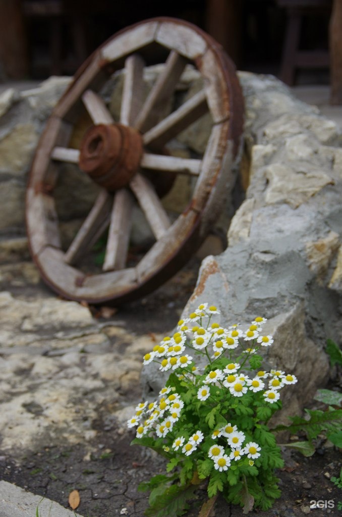 Арба нижнекамск фото