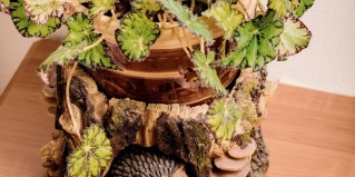 Томск: Хостел Дом Охотника