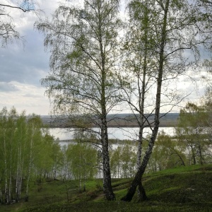 Фото от владельца Политехник, стадион