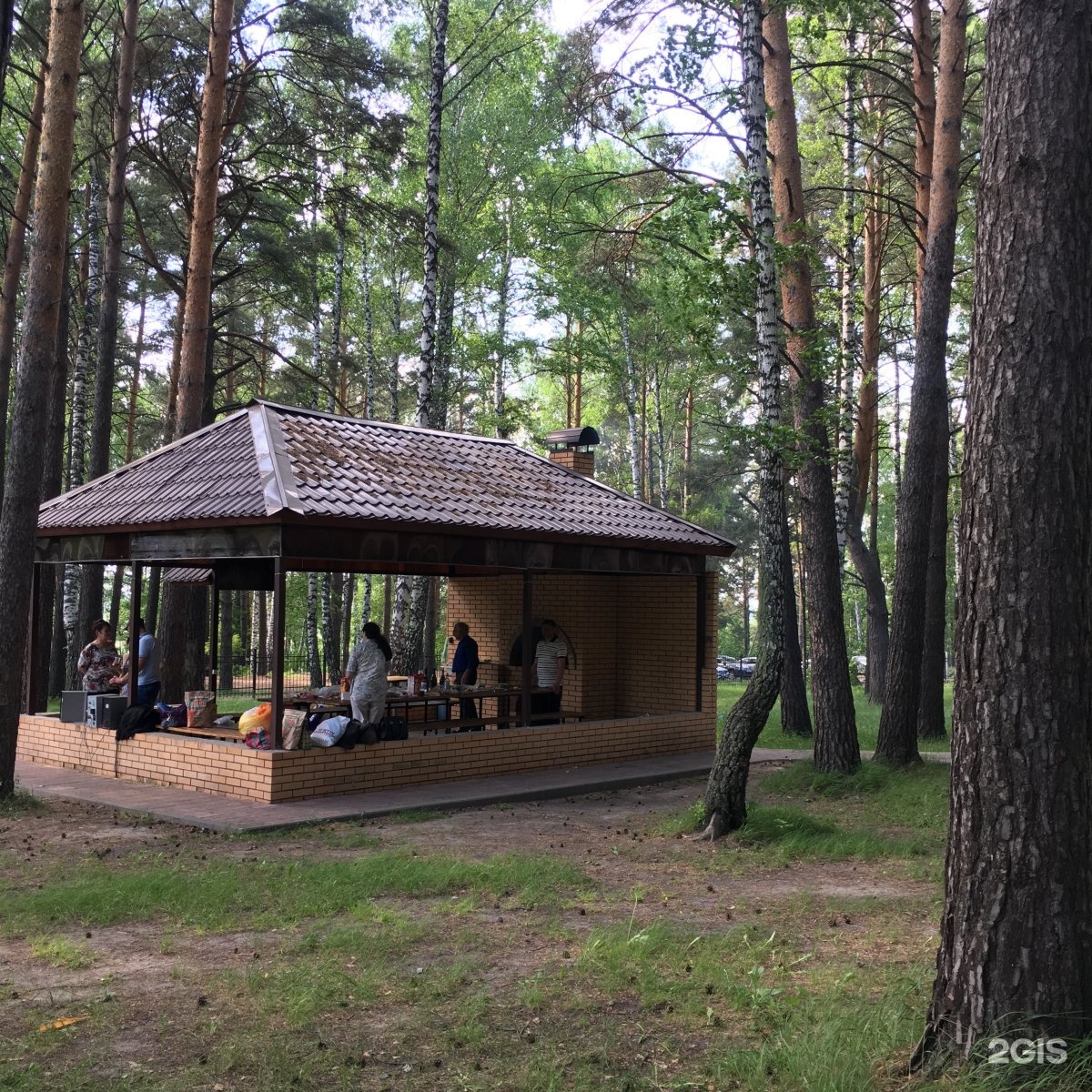 Лесной парк отель. Парк отель Лесной Томск. Энергетик Томск. Парк отель Басовское Кимры. Парк отель Лесной Томск Басандайская ул 63.