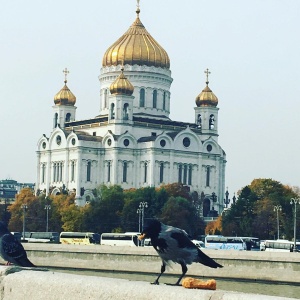 Фото от владельца Лауда, экскурсионное бюро