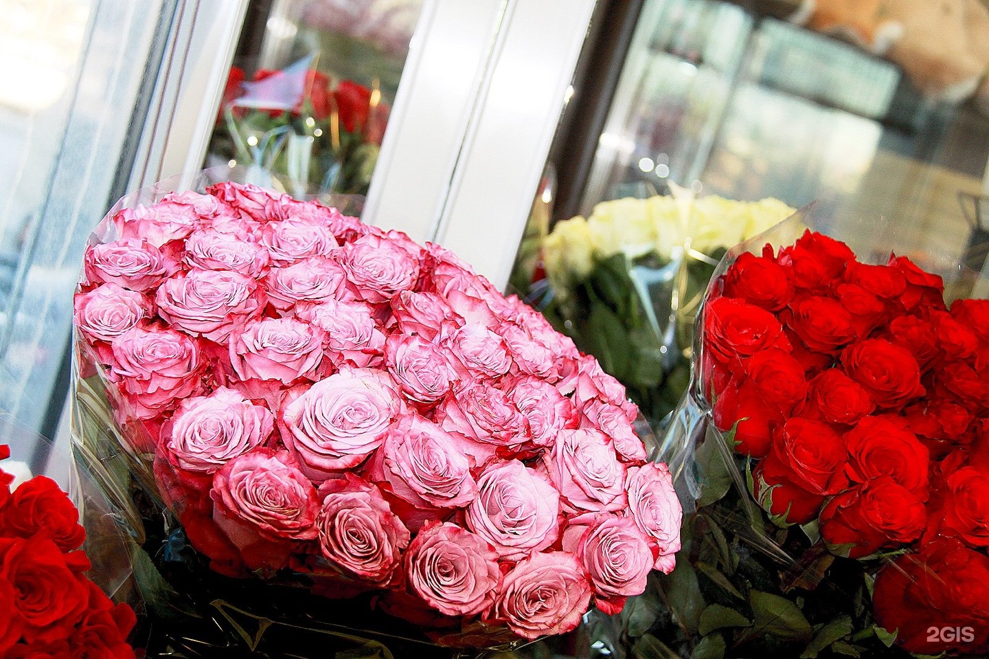 Магазин цветочный бульвар. Цветочный магазин. Магазин много цветов Москва. Много цветов магазин.