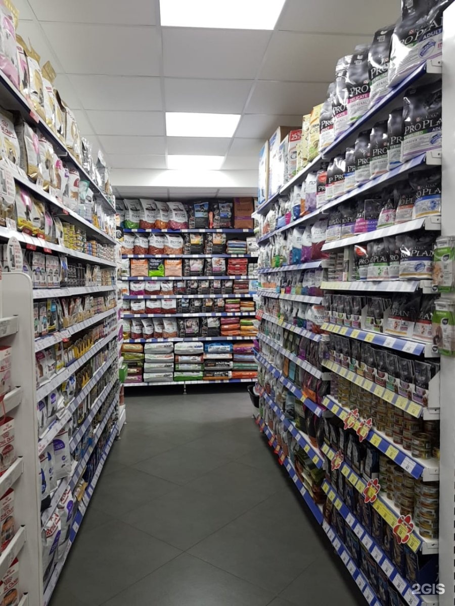 Марквет интернет магазин для животных москва. Зоомагазин марквет на хорошевском шоссе. Зоомагазин марквет на хорошевском шоссе. Марквет зоомагазин интернет магазин. Зоомагазин на глаголева 1 марквет интернет магазин.