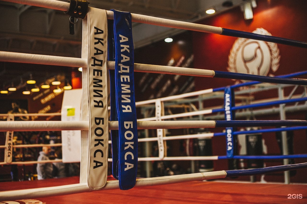 Boxing academy. Академия бокса Москва Лужники. Олег Жадобин Академия бокса. Академия бокса Химки. Бокс на улице.