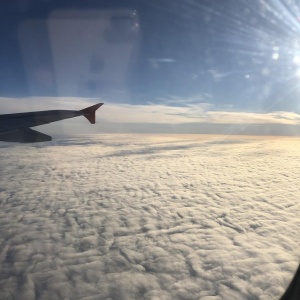 Фото от владельца Аэрофлот, авиакомпания