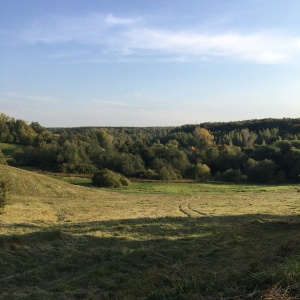 Фото от владельца Царицыно, парк культуры и отдыха