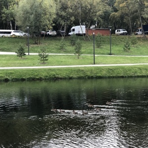 Фото от владельца Аршиновский, парк культуры и отдыха