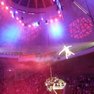 Фото от владельца Волгоградский цирк
