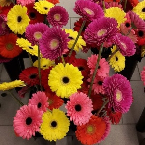 Фото от владельца Дом цветов, сеть магазинов цветов
