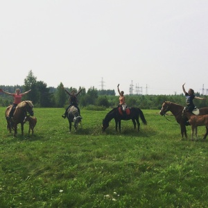 Фото от владельца Royal Horse, конный клуб