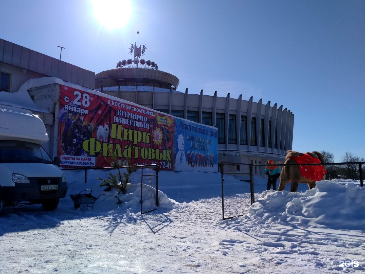 Цирк кострома фото