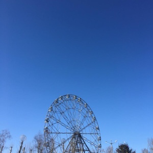 Фото от владельца Хабаровский краевой парк им. Н.Н. Муравьева-Амурского