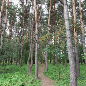 Фото от владельца Комсомольский, парк культуры и отдыха