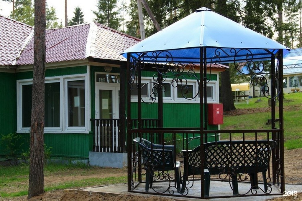 Днем рождения, картинки про лагерь чайка