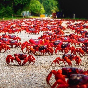 Фото от владельца Good Seafood, торговая компания