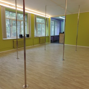 Фото от владельца Birdy Pole Dance Studio, студия танцев