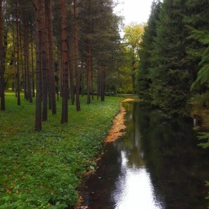 Фото от владельца Царское Село, государственный музей-заповедник