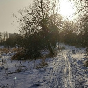 Фото от владельца Императорский Бельведер, дворцовый комплекс