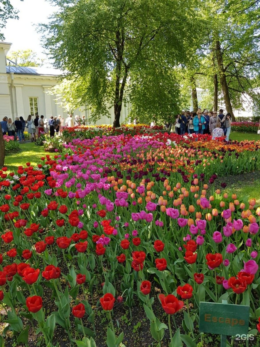 санкт петербург парк культуры и отдыха