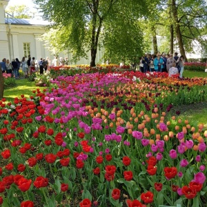 Фото от владельца Центральный парк культуры и отдыха им. С.М. Кирова