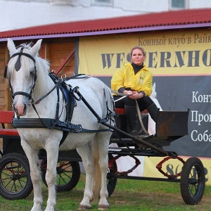 Фото от владельца Western Horse, конный клуб