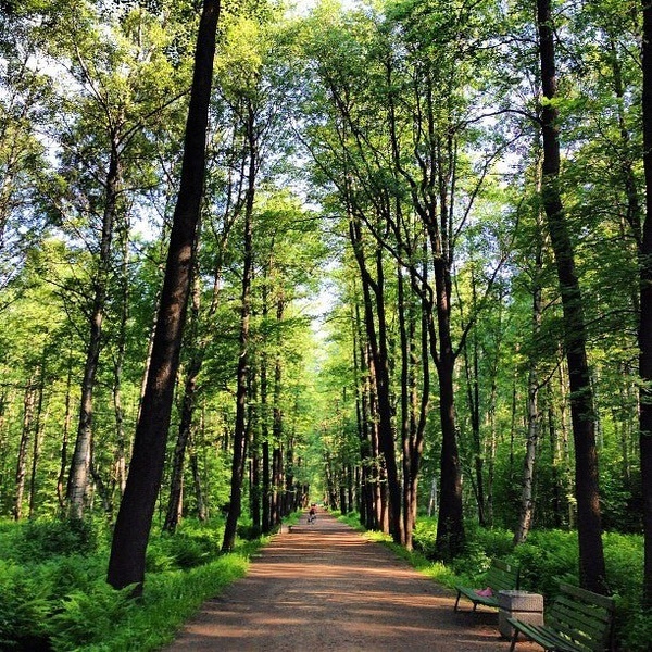 Удельный парк в санкт петербурге фото