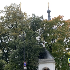 Фото от владельца Собор Владимирской иконы Божией Матери