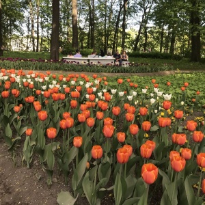 Фото от владельца Центральный парк культуры и отдыха им. С.М. Кирова