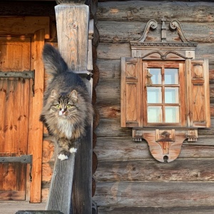 Фото от владельца Богословка, этнографический парк