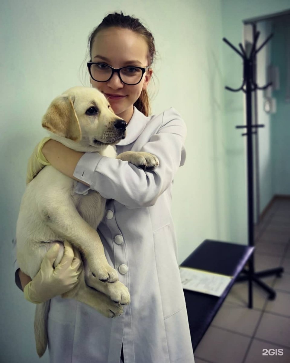 Dr pets. Доктор петс клиника. Ветклиника в Барнауле Ленина доктор петс. "Doctor Pets Барнаул фото.