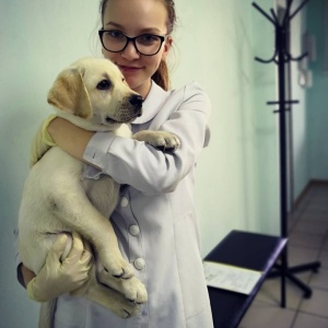 Фото от владельца Doctor Pets, ветеринарная клиника