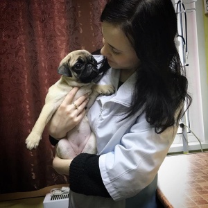 Фото от владельца Doctor Pets, ветеринарная клиника