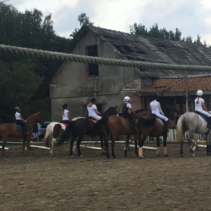 Фото от владельца Rauschen, конно-спортивный комплекс