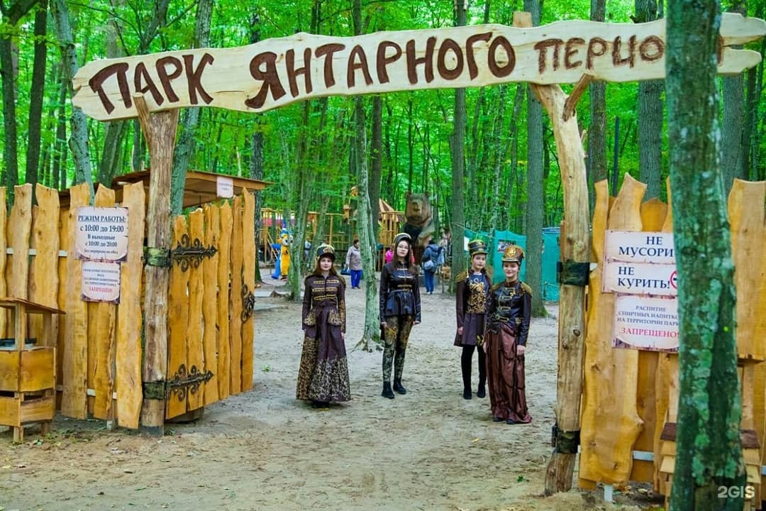 Парк янтарного периода фото