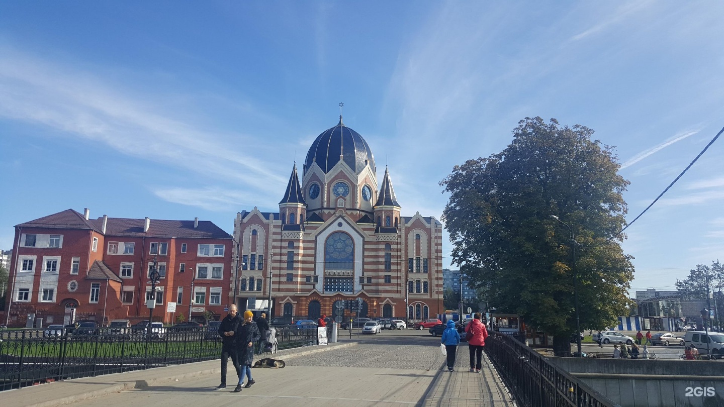 синагога в калининграде на острове