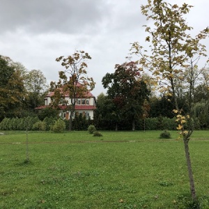 Фото от владельца Городская стоматологическая поликлиника