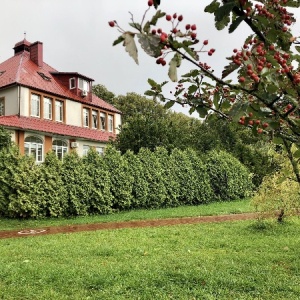 Фото от владельца Городская стоматологическая поликлиника