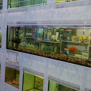 Фото от владельца Золотая рыбка, магазин товаров для животных