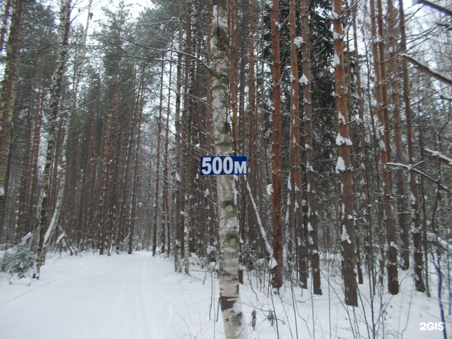 Славянские ижевск. Лыжная база Искра Ижевск. Лыжная база Искра Пермь. Ленинская Искра лыжная база. Лыжная база Искра Ижевск официальный сайт.