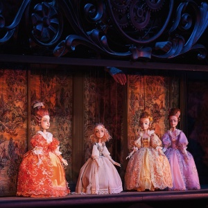 Фото от владельца Теремок, Саратовский театр кукол