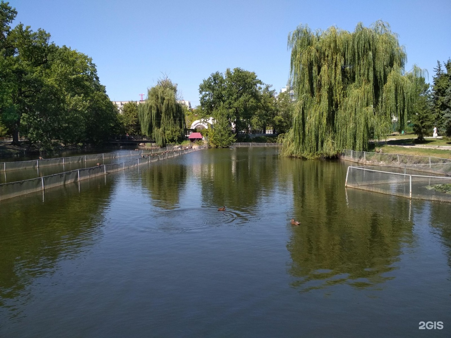 Городской парк саратов фото