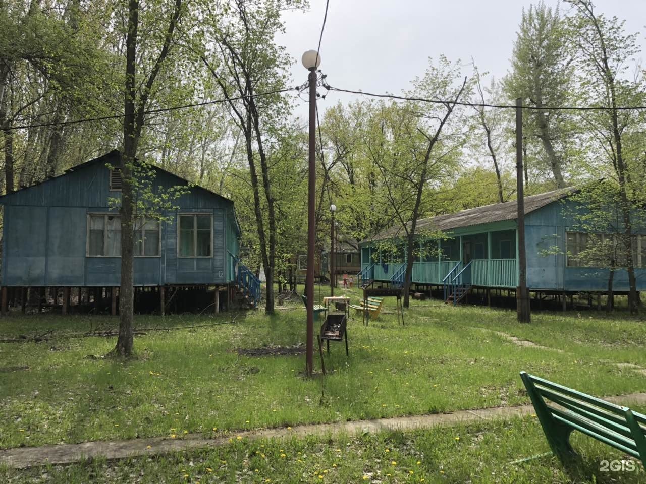 Дубовая грива турбаза саратов фото