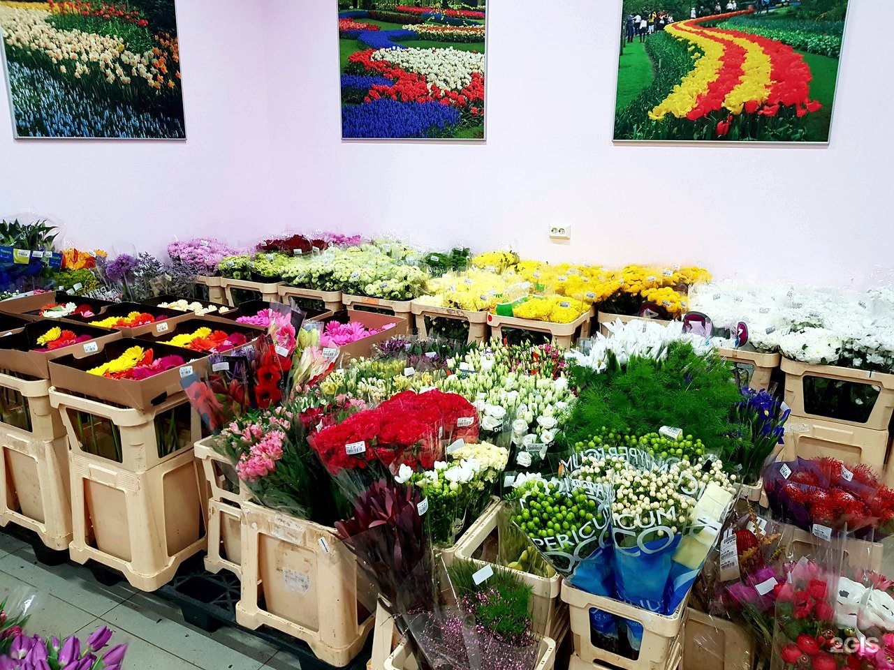 Цветочный магазин в Перово Еврофлора