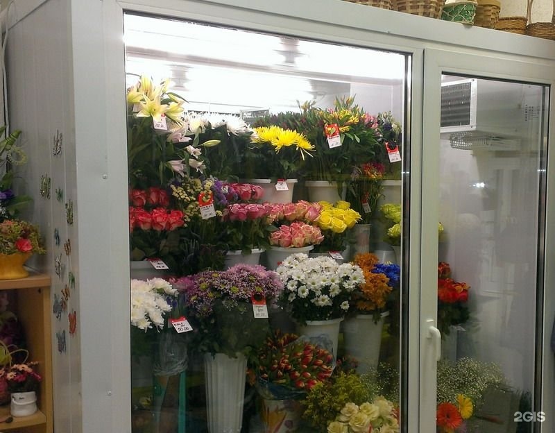 Температура в цветочном холодильнике. Цветочная камера Полаир. Холодильная камера для цветов Полаир. Полаир цветочные холодильные камеры. Холодильник для цветов.