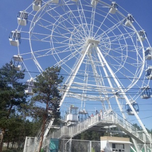 Фото от владельца Городской центральный парк культуры и отдыха, МАУ