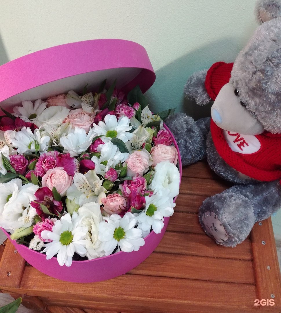 Цветы Братск. Горшочнные цветы Братск. Цветочный братск. Цветы Братск. Горшочнные цветы Братск.