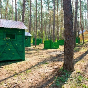 Фото от владельца Донской лес, загородный отель-клуб