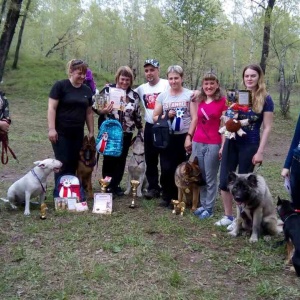 Фото от владельца Я и Моя Собака, общество любителей собак